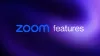 Zoom Features